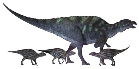 Framed Maiasaura dinosaur with offspring Print