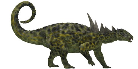 Framed Sauropelta was a heavily armored dinosaur from the Cretaceous Period Print