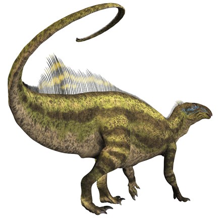Framed Tenontosaurus dinosaur from the Cretaceous Period Print
