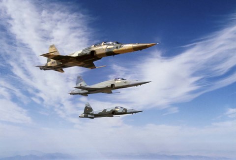 Framed F-5F Tiger II leads two F-5E&#39;s during a training flight Print