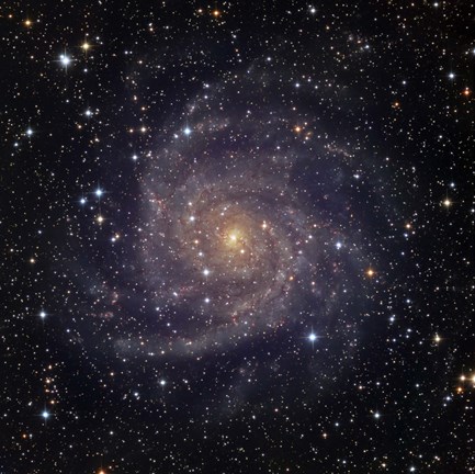 Framed IC 342, an intermediate spiral galaxy in the constellation Camelopardalis Print