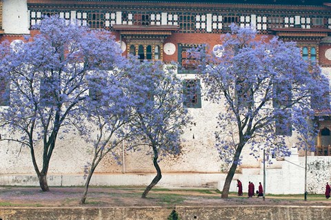 Framed Monks, Punakha Dzong Palance, Bhutan Print