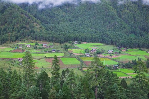 Framed Houses and Farmlands in the Phobjikha Valley, Bhutan Print