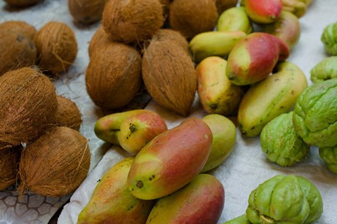 Framed Mangos and coconuts at the market on Mahe Island Print