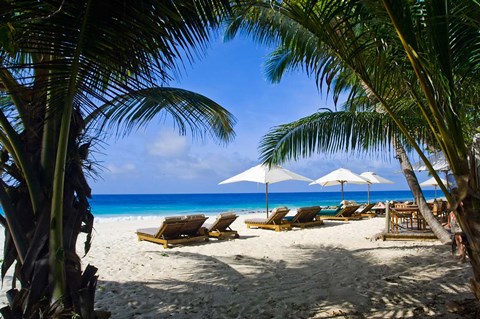 Framed Private beach, Anse Bambous Beach, Seychelles Print