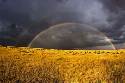 Framed Rainbow in mist, Maasai Mara Kenya Print
