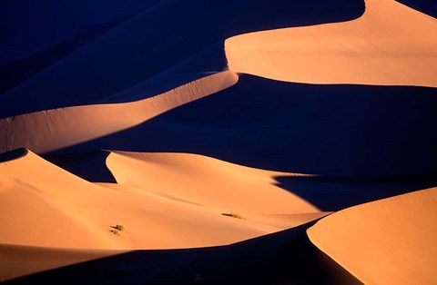 Framed Red Sand Dunes in Namib Desert, Namib Naukluft National Park, Namibia Print