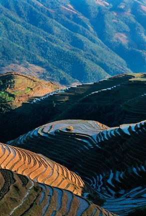 Framed Mountainside Rice Terraces, China Print