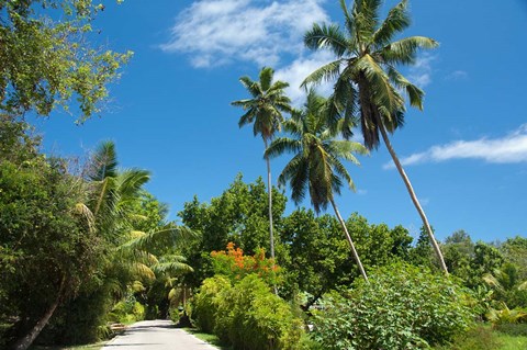 Framed Seychelles, La Digue. Remote island path Print