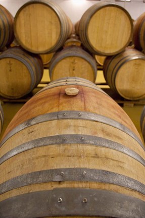 Framed South Africa, Stellenbosch, Zevenwacht Winery Print