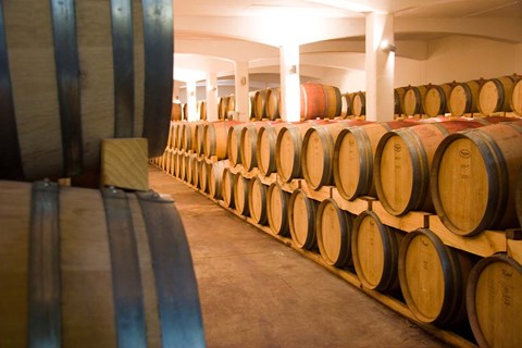 Framed Stellenbosch, South Africa, Stellenbosch winery Print