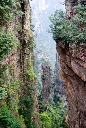 Framed Stone Spires, Zhangjiajie National Forest Park, Hunnan, China Print