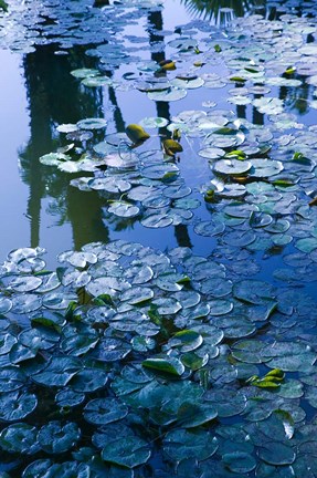 Framed Villa Pond, Jardin Majorelle and Museum of Islamic Art, Marrakech, Morocco Print