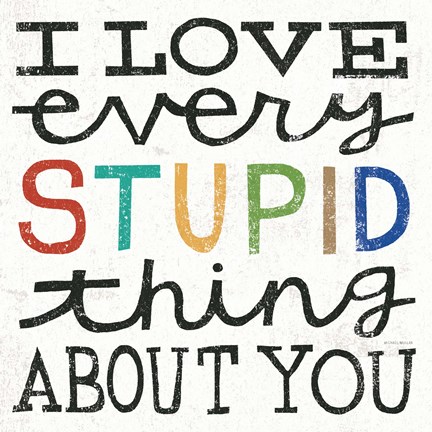 Framed I Love Every Stupid Thing About You Print