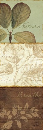 Framed Forest Walk Panel I Print