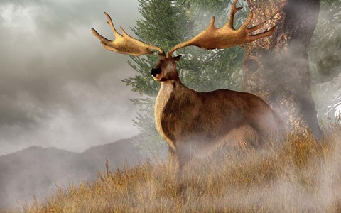 Framed Irish Elk stands in deep grass on a foggy hillside Print