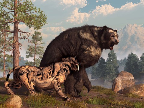Framed saber-toothed cat tries to drive a short-faced bear out of its territory Print