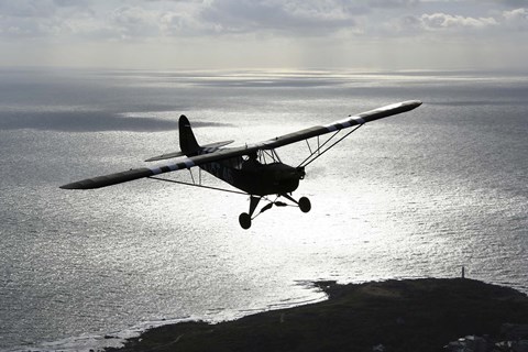 Framed Piper L-4 Cub in US Army D-Day colors Print