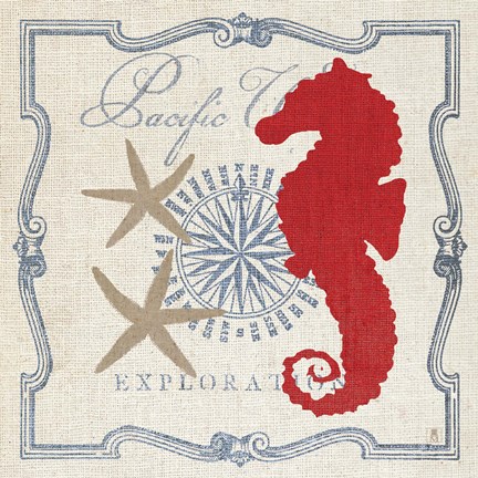 Framed Pacific Seahorse Print