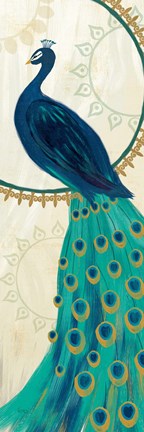 Framed Proud as a Peacock IV Print