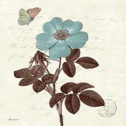 Framed Touch of Blue II Print