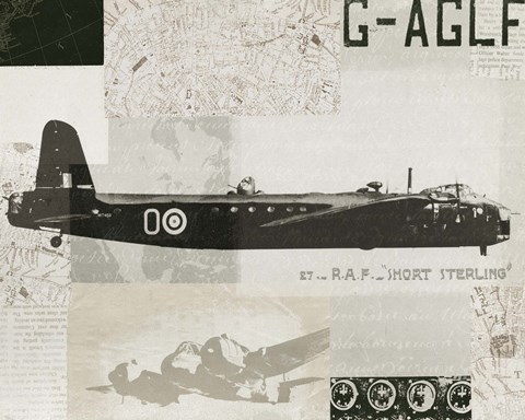 Framed Wings Collage I Print