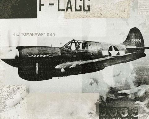 Framed Wings Collage II Print