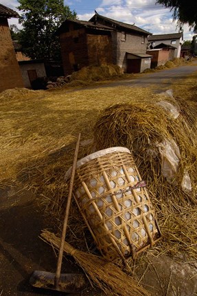 Framed Bai Minority Laying Wheat on the Road, Jianchuan County, Yunnan Province, China Print