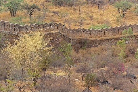Framed Ancient wall around old fort above Udaipur, India Print
