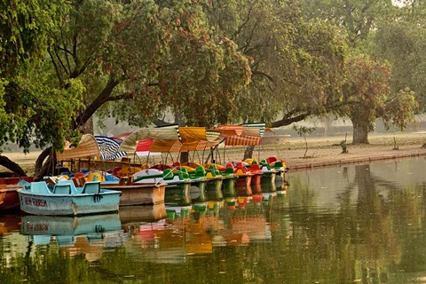 Framed Boat reflection, Delhi, India Print