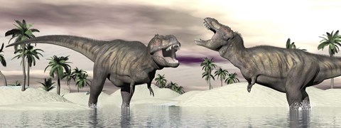 Framed Two Tyrannosaurus rex dinosaurs fighting in the water Print