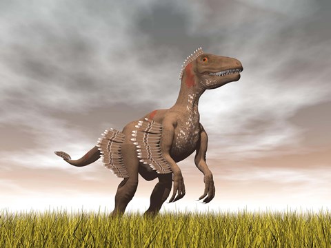 Framed Velociraptor dinosaur standing in the yellow grass Print