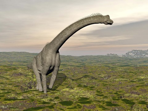 Framed Brachiosaurus dinosaur walking in grassy landscape Print
