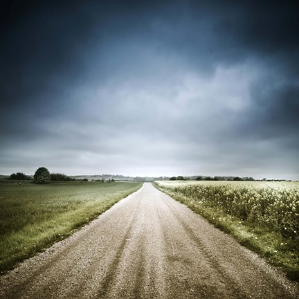 Framed Country road through fields, Denmark Print