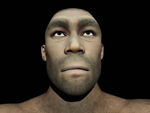 Framed Portrait of a male Homo Erectus Print