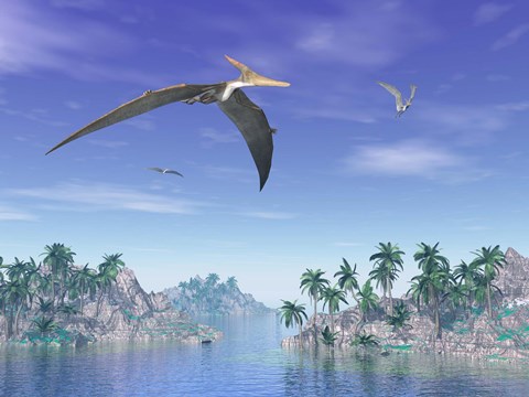 Framed Pteranodon birds flying above islands with palm trees Print