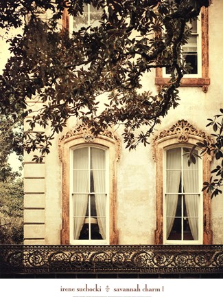 Framed Savannah Charm I Print