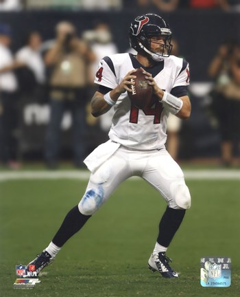 Framed Ryan Fitzpatrick 2014 Action Print