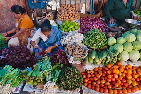 Framed Selling fruit in local market, Goa, India Print