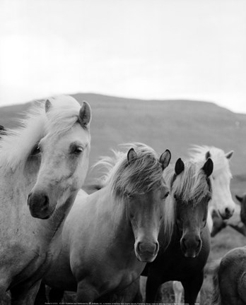 Framed Icelandic Morning Print