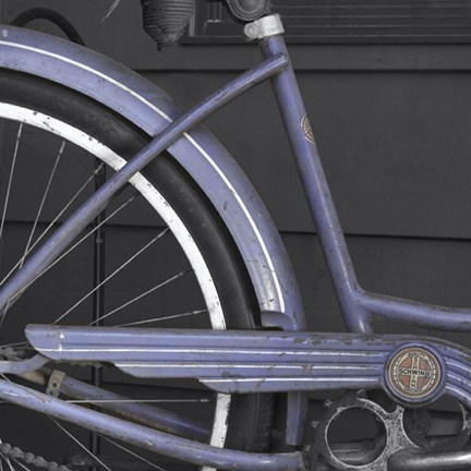 Framed Schwinn 1 Print