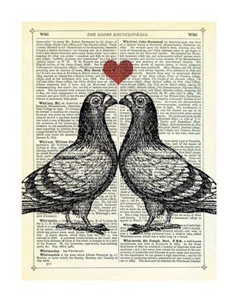 Framed Pigeons in Love Print