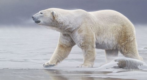 Framed Arctic Icon Print