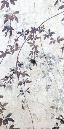 Framed Layers of Nature II Print