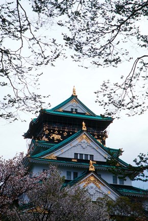 Framed Osaka Castle and Cherry Blossom Trees, Osaka, Japan Print