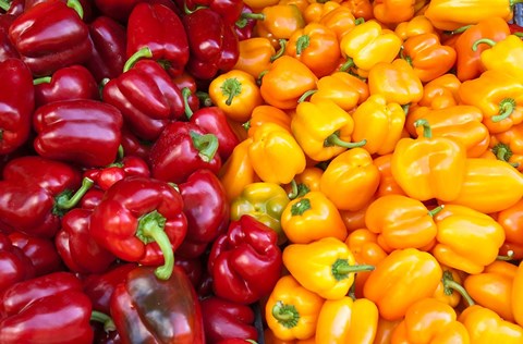 Framed Israel, Tel Aviv Carmel outdoor market Tel Aviv Print