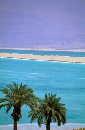 Framed Dead Sea, Israel Print