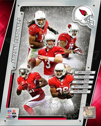 Framed Arizona Cardinals 2014 Team Composite Print