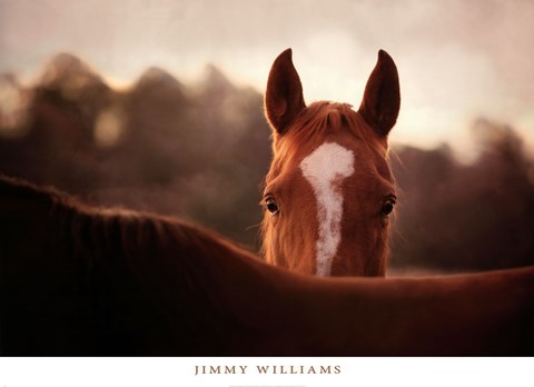 Framed Boundaries Print