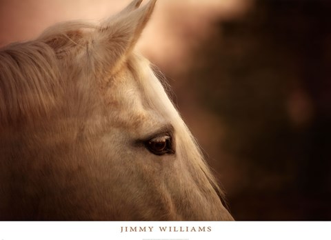 Framed Insight Print